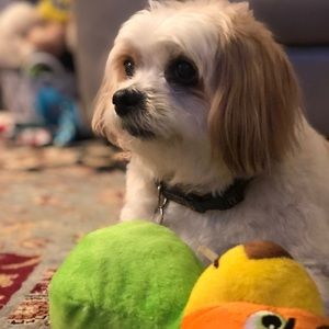 Meet your Posher, Sim